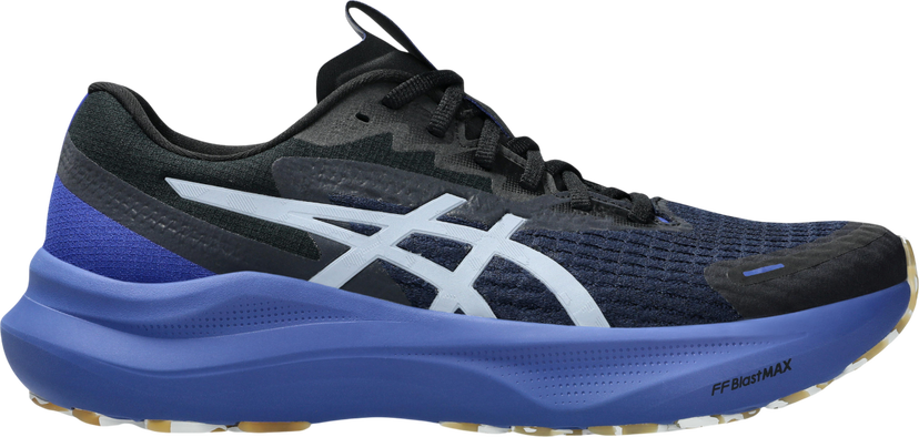 Кецове и обувки Asics GT-2000 14 LITE-SHOW Тъмно синьо | 1011c128-400