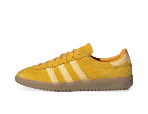 Bermuda "Bold Gold"