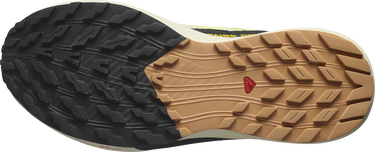 Кецове и обувки Salomon SENSE RIDE 5 W Жълто | l47458800, 2