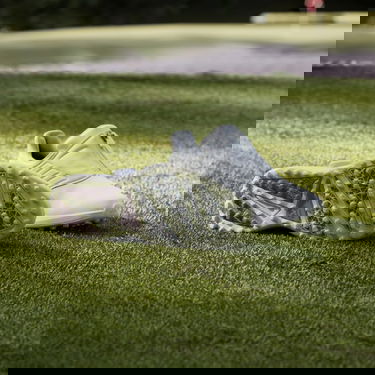 Кецове и обувки adidas Performance Solarmotion BOA 24 Spikeless Golf Shoes Бяло | IF0288, 4