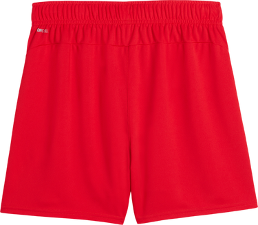Къси панталони Puma Puma teamGOAL Handball Shorts Червено | 706019-01, 1