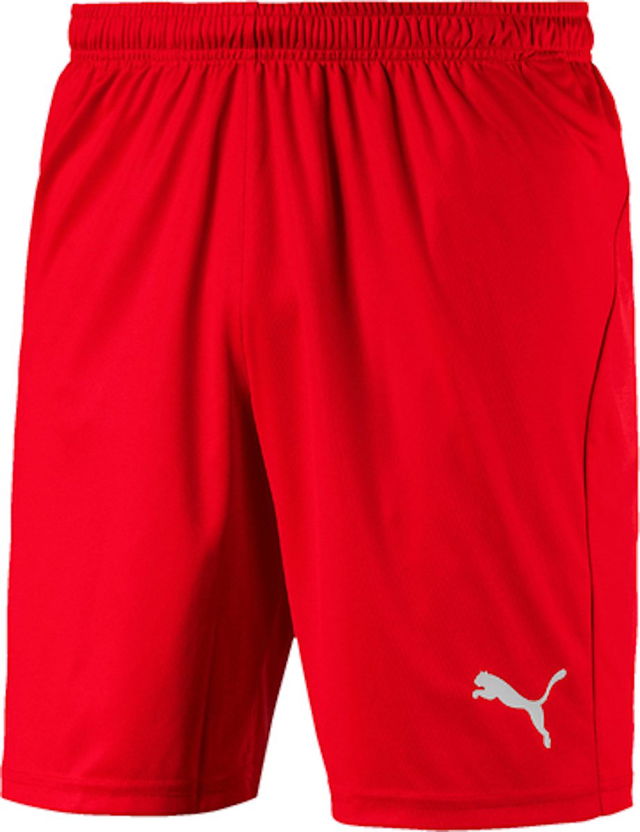 Puma Liga Core Shorts