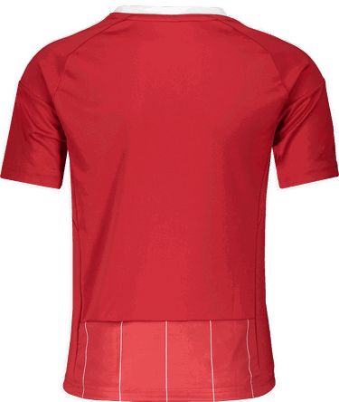 Фланелка adidas Originals milic22 Custom Pinstripe V-Neck Jersey Червено | hb5394rot, 1