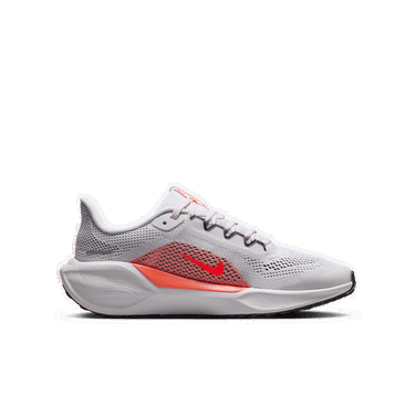 Кецове и обувки Nike Pegasus 41 Сиво | FN5041-105, 1
