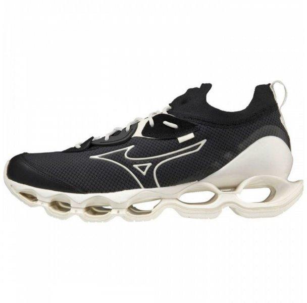 Wave Prophecy Beta, 0