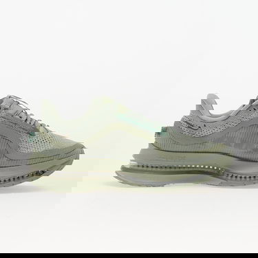 Кецове и обувки Nike Pegasus Premium Зелено | HQ2592-300, 2