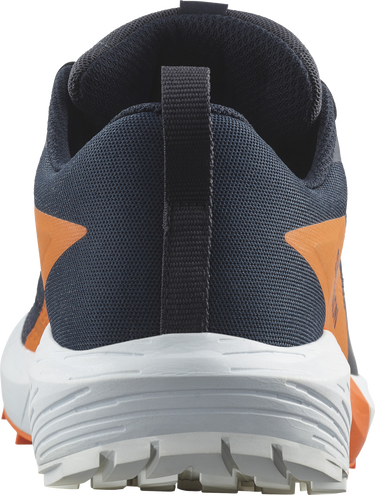 Кецове и обувки Salomon SENSE RIDE 5 GTX Черно | l47459400, 3