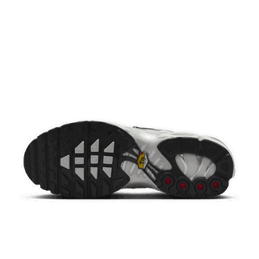 Кецове и обувки Nike Air Max Plus Сиво | FV8480-002, 2