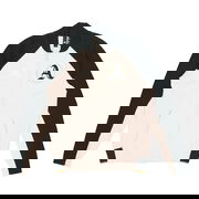 Sports Stylish Jacket