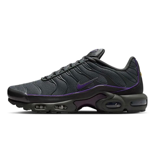 TN Air Max Plus "Iron Grey"
