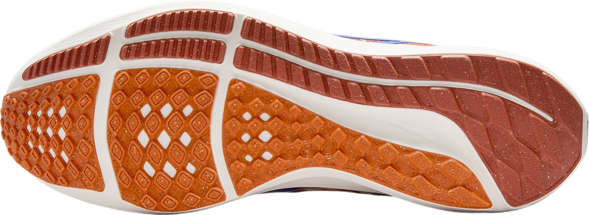 Кецове и обувки Nike Pegasus 40 Premium Червено | fq7680-100, 1