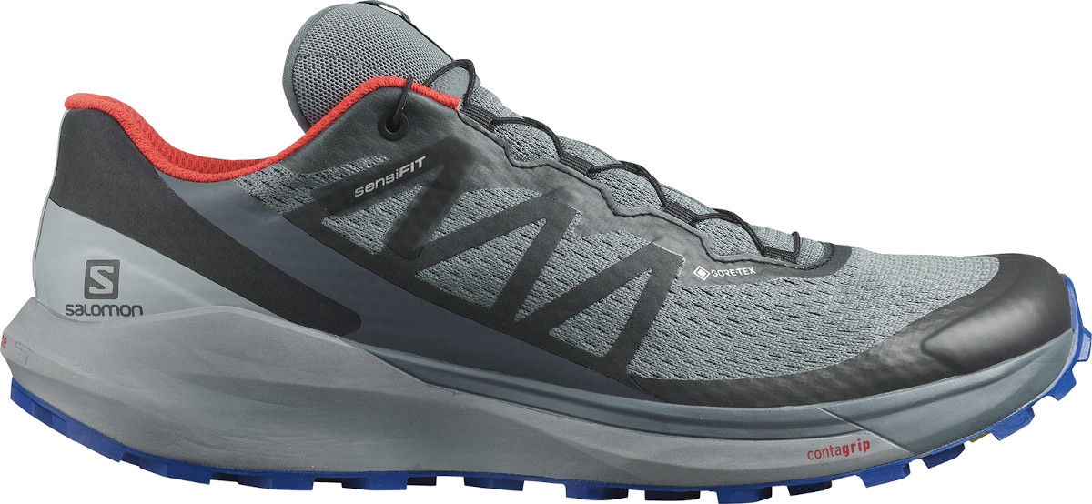 Кецове и обувки Salomon Sense Ride 4 GTX Invisible Сиво | l41377800, 0