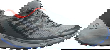 Кецове и обувки Salomon Sense Ride 4 GTX Invisible Сиво | l41377800, 0