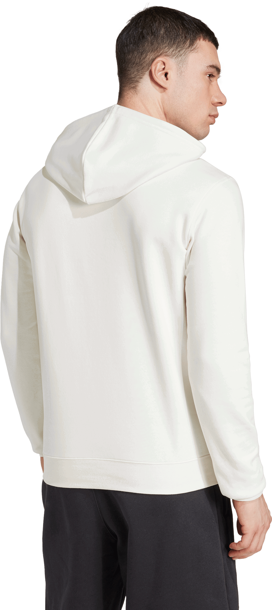 Суитчър adidas Originals adidas Originals DFB Deutschland Hoodie Бяло | jd7148, 1
