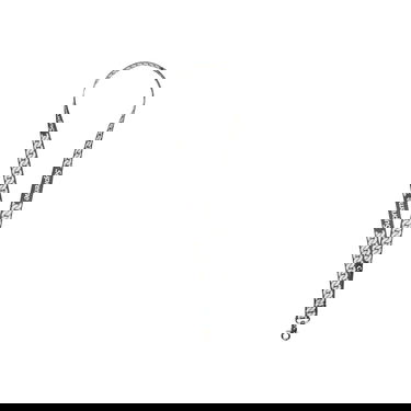 Ключодържатели Supreme Cuban Links Lanyard Многоцветен | SS22A75 BLACK, 1