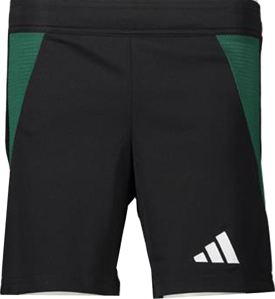 Custom Performance Shorts