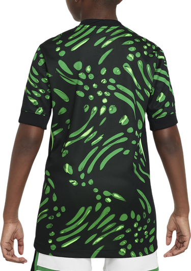 Фланелка Nike Nigeria Football Federation Short Sleeve Dri-FIT Stadium Jersey AW 2024 Многоцветен | fq8860-010, 1