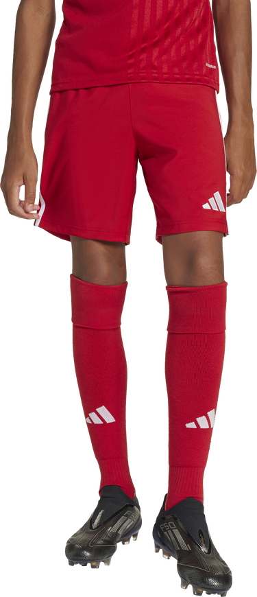 Къси панталони adidas Originals adidas TASTIGO25 Shorts Червено | jn7172, 2