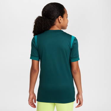 Фланелка Nike Nigeria Stadium 2025 Dri-FIT Replica Jersey Зелено | HM9662-483, 2