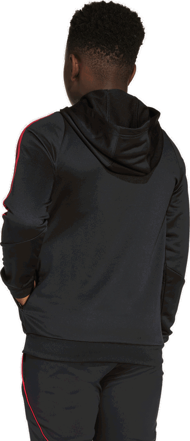 Суитчър adidas Originals Ajax Amsterdam Training Hoodie Черно | jp1766, 1