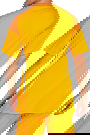 Фланелка adidas Originals Adidas TIRO25 Competition Goalkeeper Jersey Оранжево
 | jn4502, 2