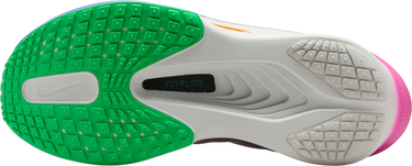 Кецове и обувки Nike Zoom Fly 6 Eliud Kipchoge Многоцветен | im6367-600, 4