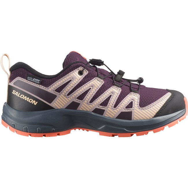 Кецове и обувки Salomon Xa Pro V8 Waterproof Бургунди | L47857100, 0