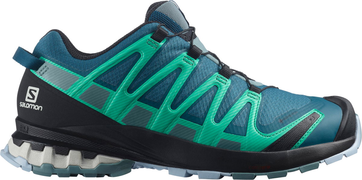 Кецове и обувки Salomon XA PRO 3D v8 GTX Зелено | l41629600, 1