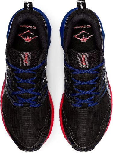 Кецове и обувки Asics GEL-Trabuco 9 GTX Черно | 1011b027-003, 2