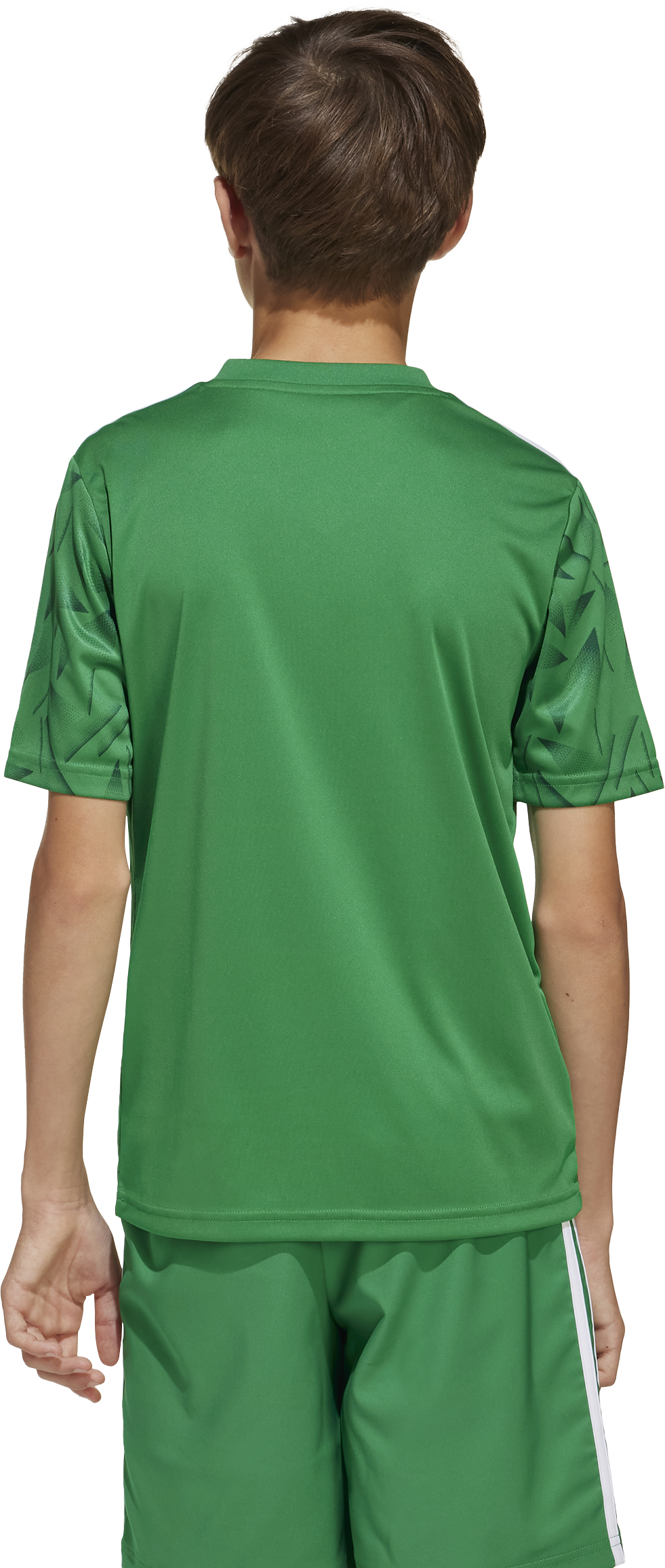 Фланелка adidas Originals adidas Icon25 Jersey Зелено | jj1956, 1