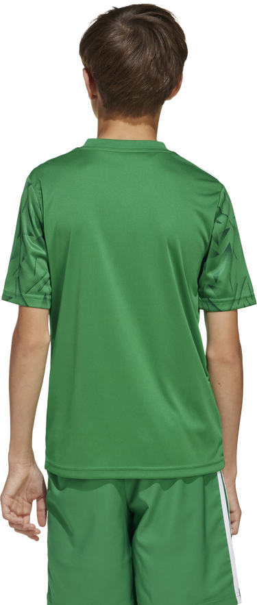 Фланелка adidas Originals adidas Icon25 Jersey Зелено | jj1956, 1