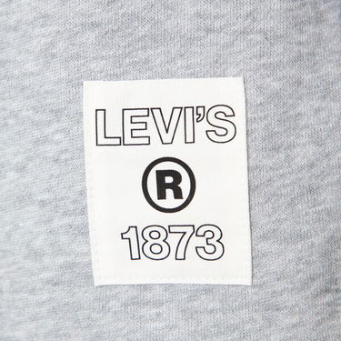 Къси панталони Levi's ® Graphic Court Sweatshort Многоцветен | A50070003, 1
