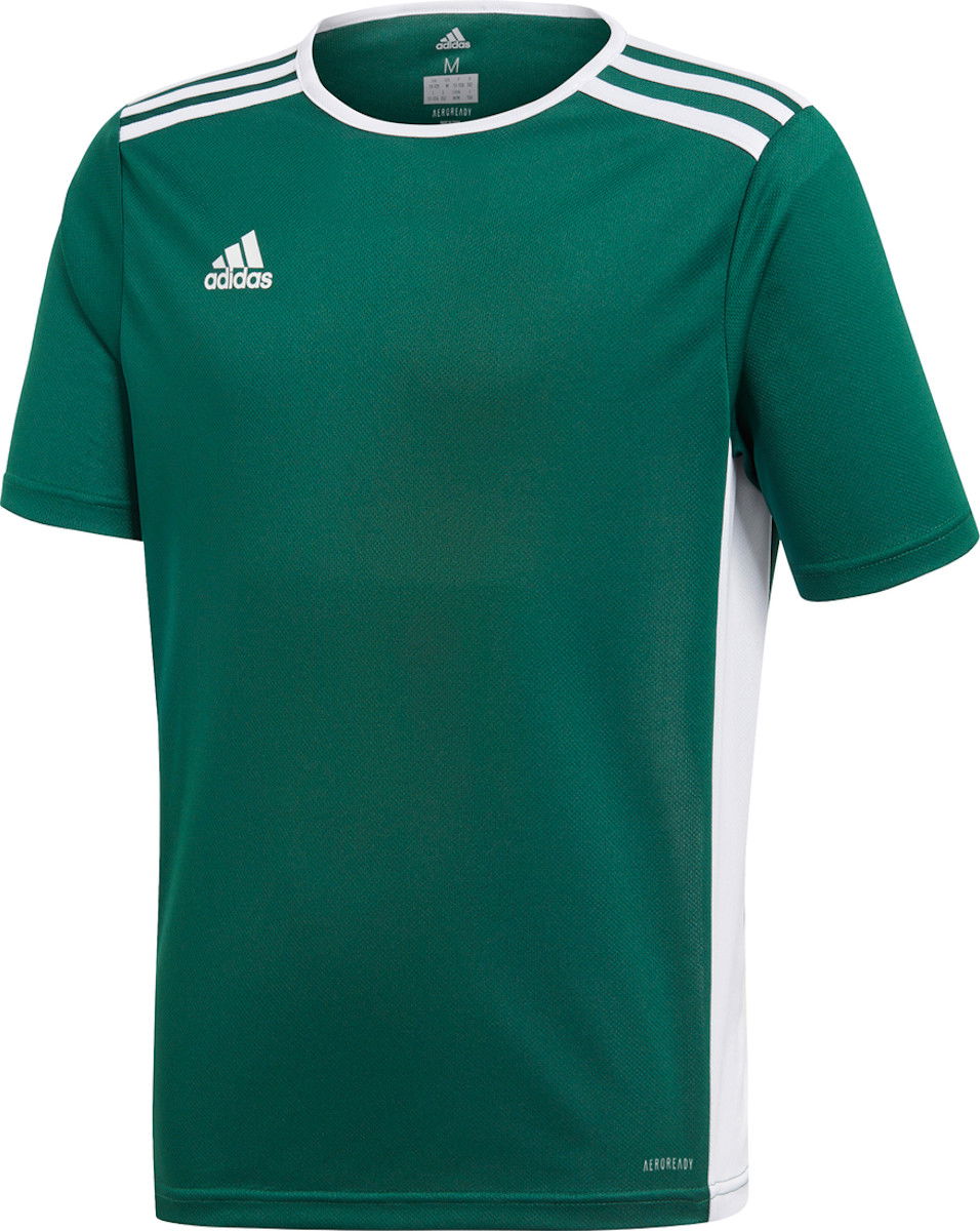 Фланелка adidas Originals Entrada 18 Jersey Зелено | ce9563, 0