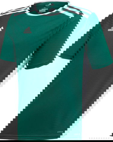 Фланелка adidas Originals Entrada 18 Jersey Зелено | ce9563, 0