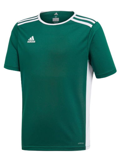 Фланелка adidas Originals Entrada 18 Jersey Зелено | ce9563