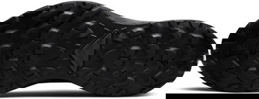 Кецове и обувки Nike Pegasus Trail 3 GTX Черно | dc8793-001, 1