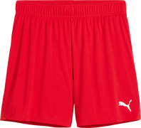 Puma teamGOAL Handball Shorts