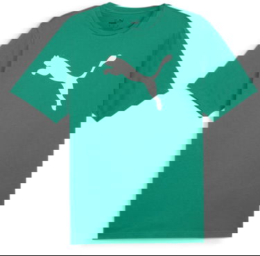 Фланелка Puma Jersey Cotton T-Shirt Зелено | 658705-05, 0