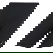 Dri-FIT Quick Dry Training Shorts