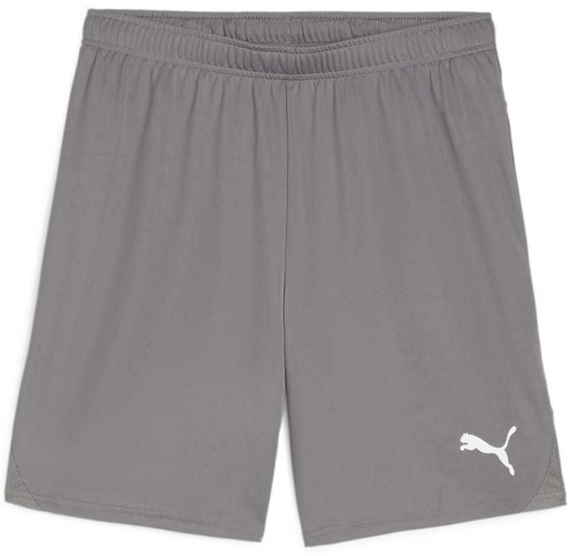 Къси панталони Puma teamGOAL Shorts Сиво | 705752-13