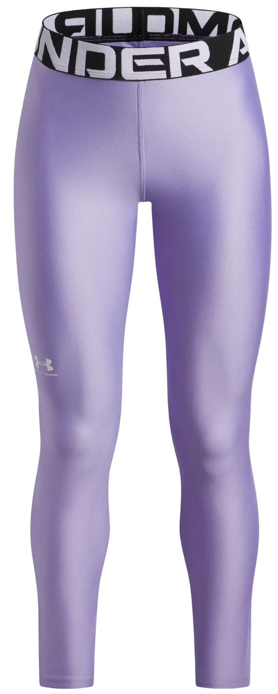 Клинове Under Armour HG Performance Legging Лилаво | 1390069-538, 0