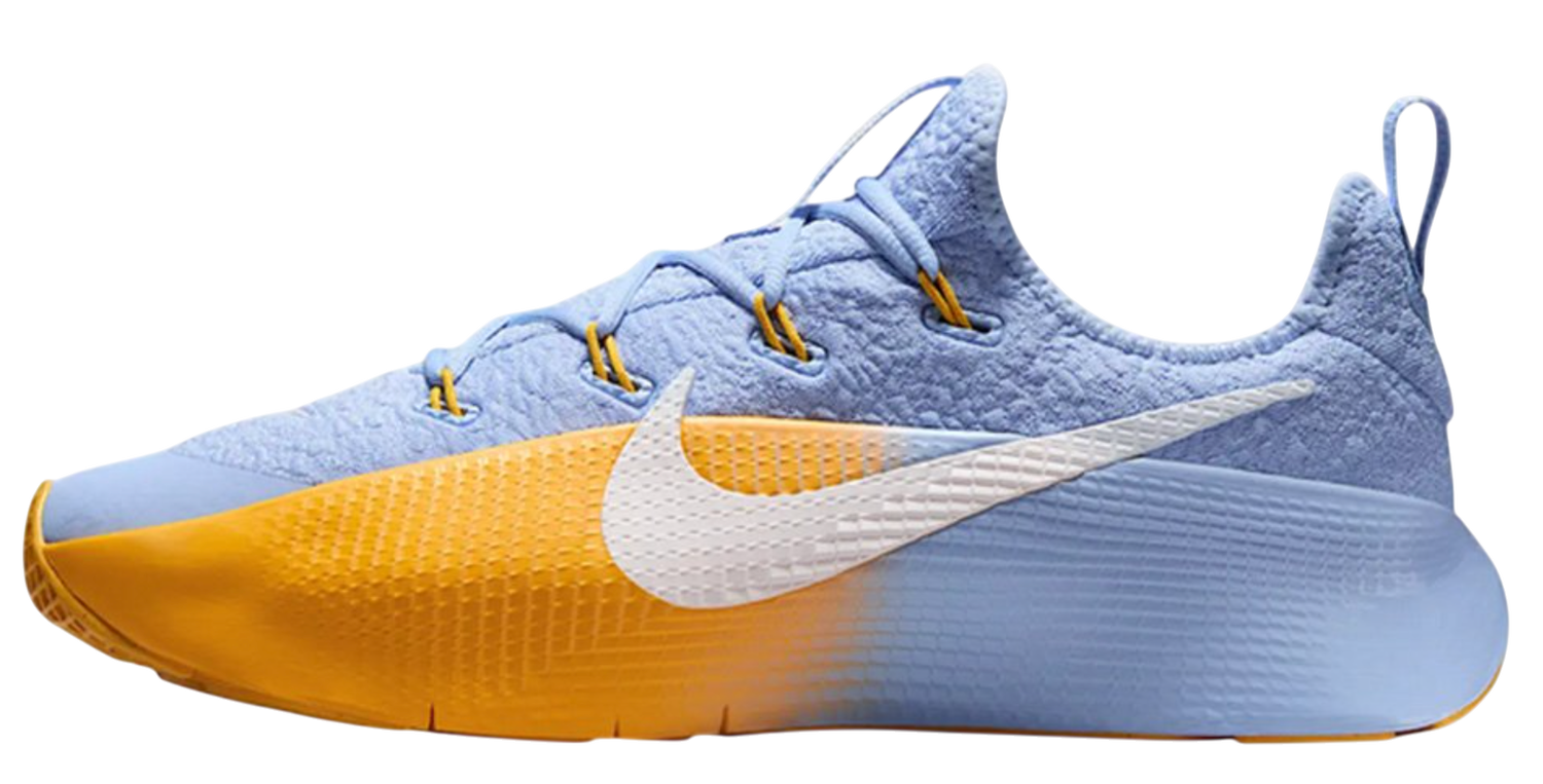 Кецове и обувки Nike LeBron TR 1 'Aluminium University Gold' Многоцветен | FJ6151-401, 1