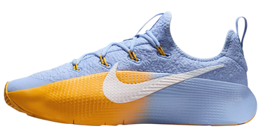 Кецове и обувки Nike LeBron TR 1 'Aluminium University Gold' Многоцветен | FJ6151-401, 1