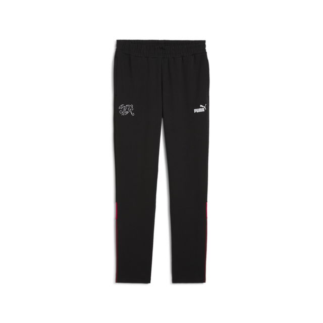 Switzerland FtblArchive Men's Track Pants