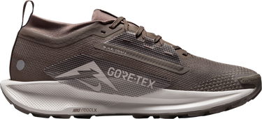Кецове и обувки Nike Pegasus Trail 5 GORE-TEX Кафяво | fq0908-012, 3