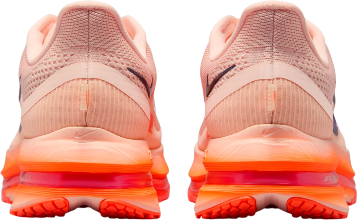 Кецове и обувки Nike Pegasus Premium Розово | ii6308-600, 1