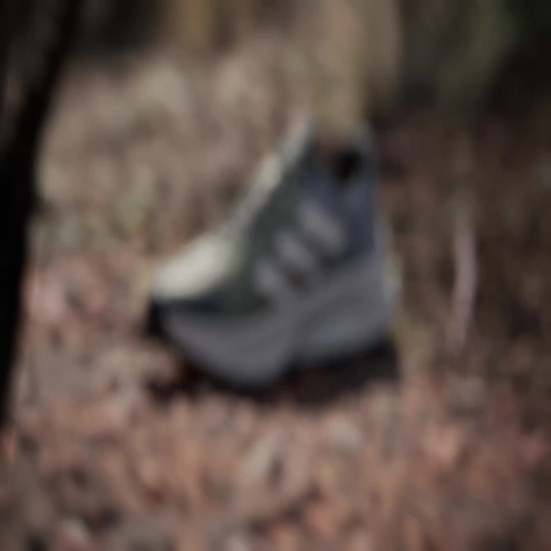 Кецове и обувки adidas Performance TERREX Soulstride Flow Сиво | IG8923, 1