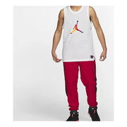 Jordan Rainbow Sleeveless Basketball Jersey