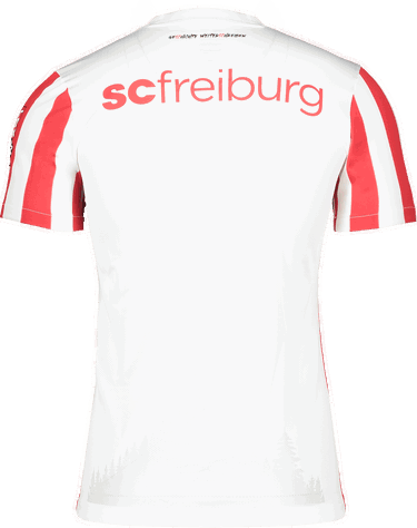 Фланелка Nike SC Freiburg 120 Year Anniversary Striped Jersey 2023/2024 Многоцветен | scf4cw3813-104, 1