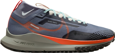 Кецове и обувки Nike Pegasus Trail 4 GORE-TEX Сиво | dj7926-006, 0